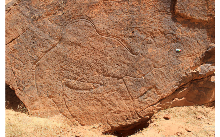 Саудын Арабын нутгаас 12800 жилийн өмнө бүтээсэн хадны сүг зураг олдов